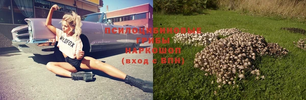 прущая мука Бронницы